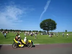 「【2026北陸・甲信越】秋を彩る絶景コスモス畑9選！遊び場や見頃＆イベント情報も」の写真