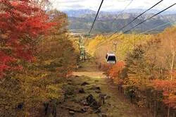 「那須塩原で「紅葉ゴンドラ」運行！10分の空中散歩＆栃木県内の小学生は無料に」の写真