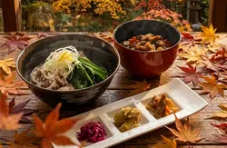 「那須塩原で「紅葉ゴンドラ」運行！10分の空中散歩＆栃木県内の小学生は無料に」の写真