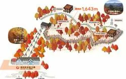 「那須塩原で「紅葉ゴンドラ」運行！10分の空中散歩＆栃木県内の小学生は無料に」の写真