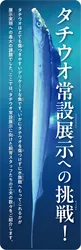 パネル一例