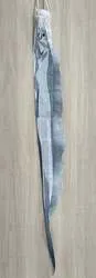 タチウオのぼりイメージ