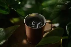 ベトナム・Tamba農園産のファインロブを使用