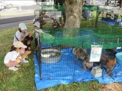 一般開放デー「わかすの日」