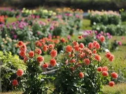 四季の花壇