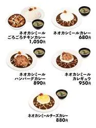 「ネオカシミールカレー」シリーズのラインナップ