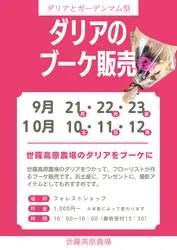 写真撮影にもぴったりなダリアのブーケ