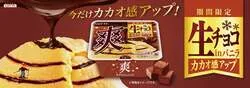ロッテ「爽 生チョコinバニラ」