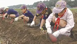 さつまいも収穫体験（事前予約制）や、農業体験も楽しめます