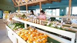 地元の農水産物やおみやげ、加工食品が集まるマーケット