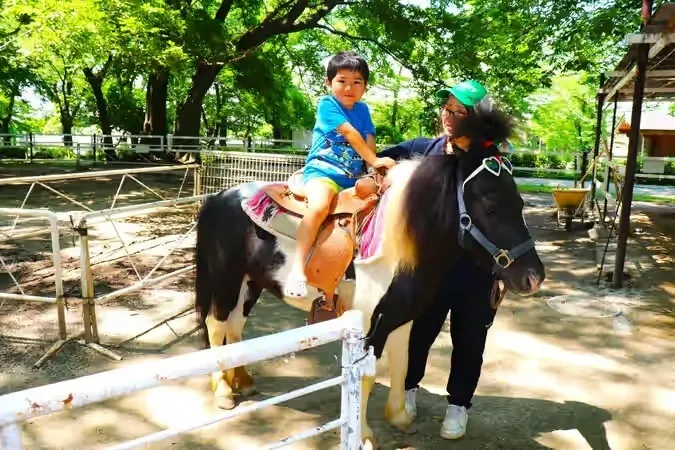2026【関東近郊】子供向け乗馬体験スポット13選　人気・おすすめ厳選の8枚目の写真
