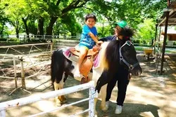 「2026【関東近郊】子供向け乗馬体験スポット13選　人気・おすすめ厳選」の写真