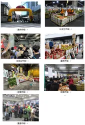 これまでに開催された市場まつりの風景