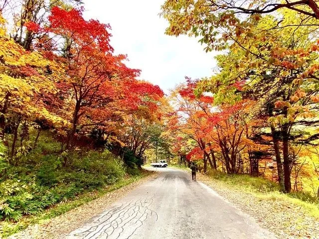 【紅葉・見ごろ】大雪山国立公園（c）層雲峡観光協会　層雲峡温泉街からの紅葉の様子