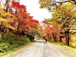 【紅葉・見ごろ】大雪山国立公園（c）層雲峡観光協会　層雲峡温泉街からの紅葉の様子
