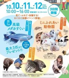 高級メダカすくい＆ミニ動物園