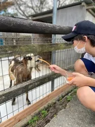 エサやり体験ができる「動物ふれあい広場」