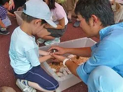 辰巳健康スポーツフェスティバル