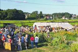 「さといも掘りに新米おにぎり、縁日も！畑がまつり会場になる茨城・つくばの収穫祭」の写真