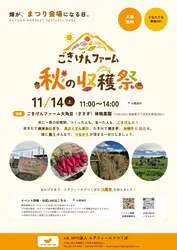「さといも掘りに新米おにぎり、縁日も！畑がまつり会場になる茨城・つくばの収穫祭」の写真