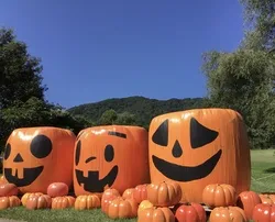 ハロウィンフェア（過去開催時の様子）