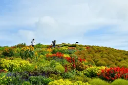 31品種の草花が彩る「ウェルカムガーデン」