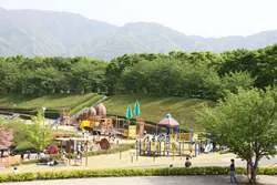 曽根丘陵公園