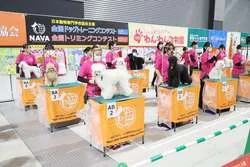 「愛犬・愛猫と一緒に入場OK！名古屋のドームで3年ぶりの「わんにゃんドーム2027」」の写真