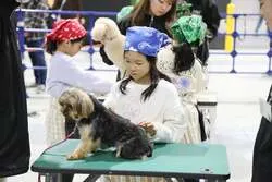 「愛犬・愛猫と一緒に入場OK！名古屋のドームで3年ぶりの「わんにゃんドーム2027」」の写真