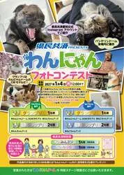 わんにゃんドーム2027