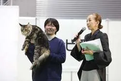 「愛犬・愛猫と一緒に入場OK！名古屋のドームで3年ぶりの「わんにゃんドーム2027」」の写真