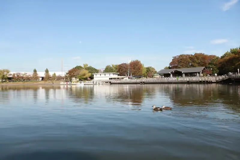 園内の昭和沼では、最大34mの高さまで吹き上がる大噴水も！