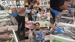 「30秒で鮮魚を袋に詰め放題！小田原漁港直送のイベントが「TOTOCO小田原」で開催」の写真