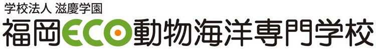 福岡ECO動物海洋専門学校