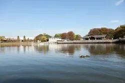 園内の昭和沼では、最大34mの高さまで吹き上がる大噴水も！