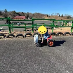 動物の形をした自転車など約20種類！