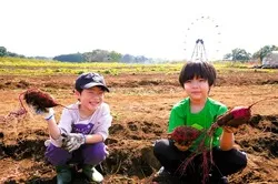 季節ごとに楽しめる収穫体験も楽しんで！
