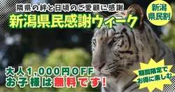 「新潟県民は子供の入園無料！　群馬サファリパークで大人も1,000円引きの県民割」の写真