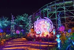 30thノームのフラワーガーデン（過去の様子）
