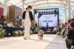「KISARAZU KEN's TABLE COLLECTION」イメージ