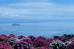 青空とびわ湖の青に、彩り豊かな花々が映える