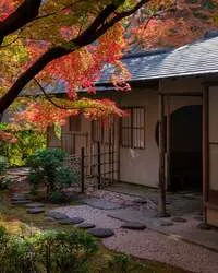 日本庭園と茶寮の紅葉の様子