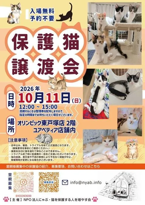 にゃぶ・保護猫譲渡会＠オリンピック東戸塚店