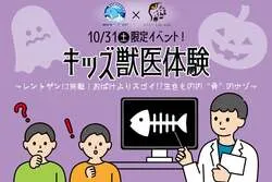 「子供が獣医さんに！イルカの健康チェックやレントゲン体験が南知多ビーチランドで開催」の写真