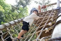 「【2026全国】もふもふの赤い絨毯が見頃！絶景コキア名所16選　1日遊べる＆入園無料も」の写真