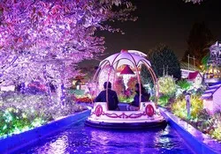 ファンタジークルーズ