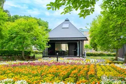 「さつまいも詰め放題にしゃぼん玉も！泊まれる植物園・茨城「林音」の1周年イベント」の写真