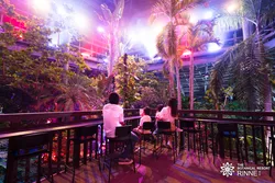 「さつまいも詰め放題にしゃぼん玉も！泊まれる植物園・茨城「林音」の1周年イベント」の写真