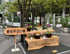 「野菜の収穫に果物狩り、丸太切りも！東京の味覚を体験する丸の内・豊洲などの秋フェス」の写真