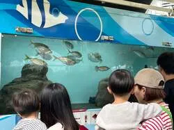 水産業エリアイメージ